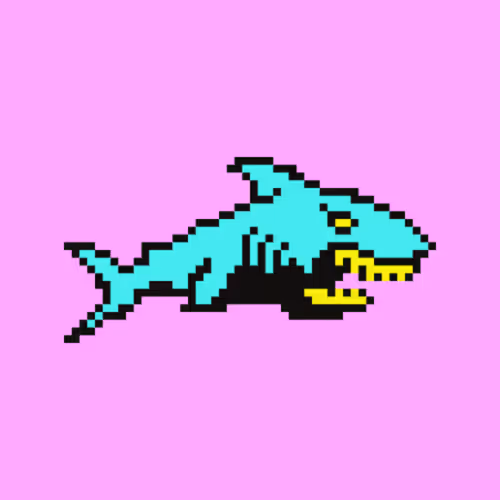 FreezySharks Collection - old