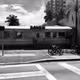 French guy in Miami