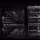 Frequenz - old