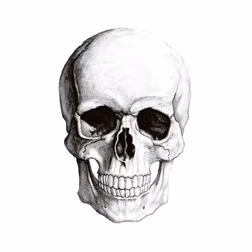 Friendly skullz