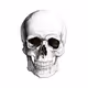 Friendly skullz