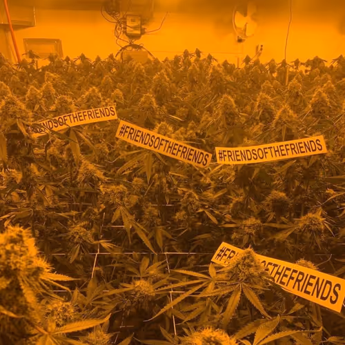 Freinds of the Friends Photography - old