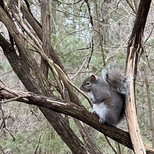 Friends of the Yard