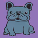 Frenchies11 - old