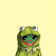 Frog Hood