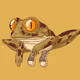 Frogvin