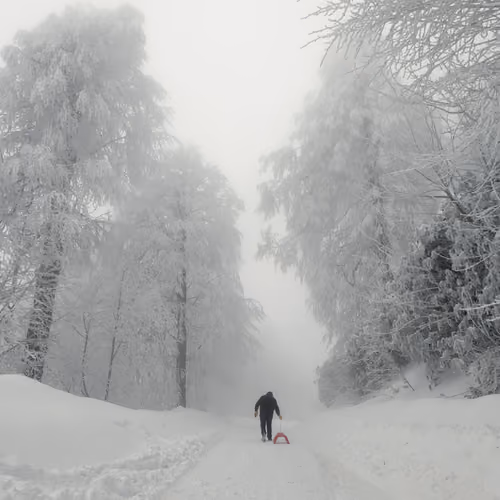 From Autumn to Winter - old