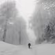 From Autumn to Winter - old