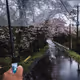 From My Umbrella