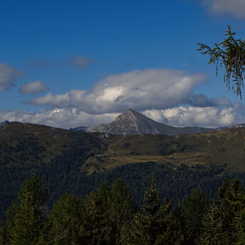 From nature's point of view