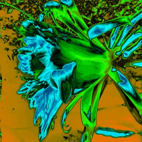 From the mind of a Mad Man