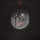 From the Spaceship to the Moon