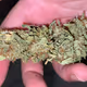 From Plant To Medicine