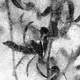 Zinchik