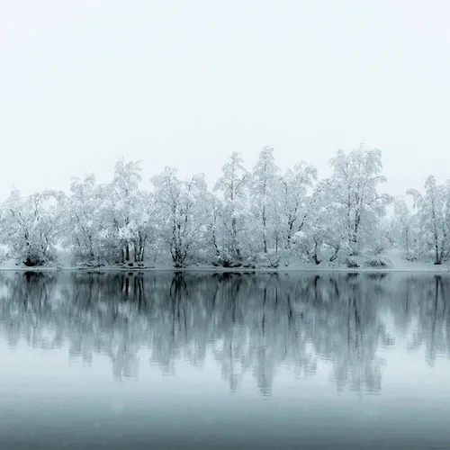 Frozen Silence - old