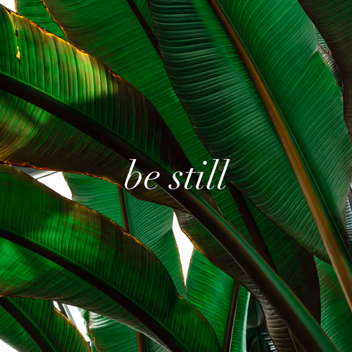 Be Still, Be You
