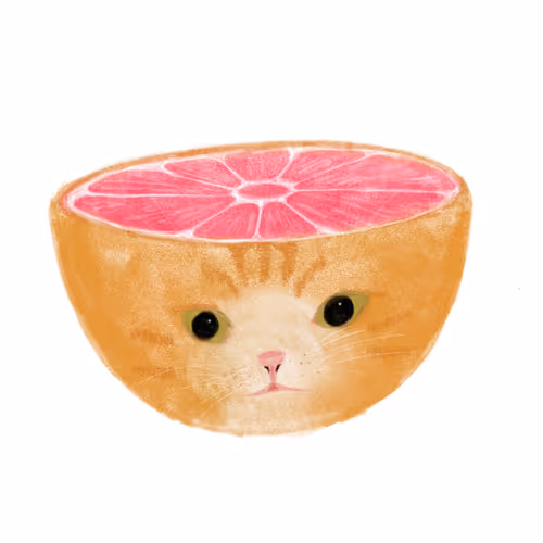 Fruit meme cat