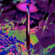 Mycology