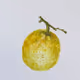 Fruits V8