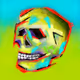 Funky skull - old