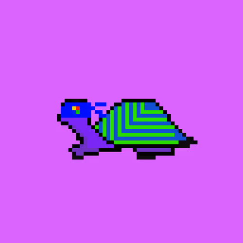 Funky Turtles