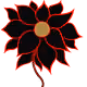 Funky Flowers