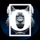 Funky Wolves X Solid NFT (Gifts)