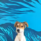 Funny dog portraits - old