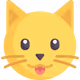 funnycat2021