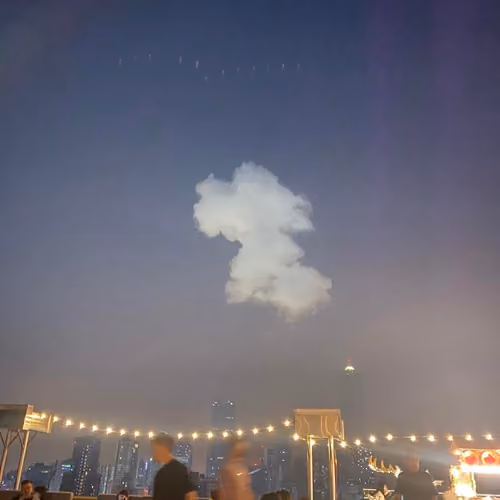 cute dog a cloud
