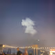 cute dog a cloud
