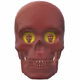 FunSkull