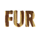 Furry Alphabet