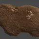 Furry Hamster