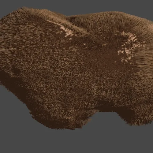 Furry Hamster