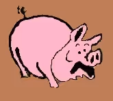 future ham - old
