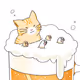 fuzzed cat