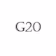 G20_2021