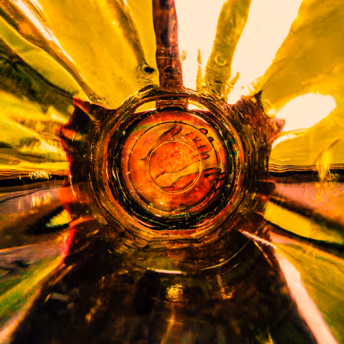 THE GEMS - ART FUSION