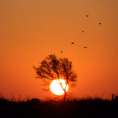 Gabriele_Orlandini Collection - old