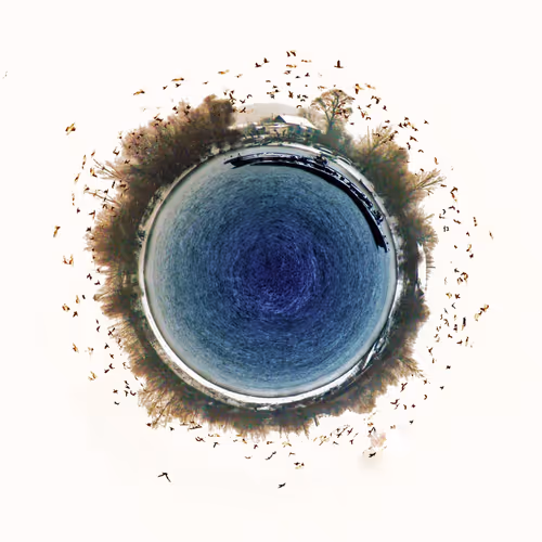 Circleoflife - old V2