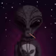Galaxtic Nights