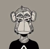 Gali Monkey Crew