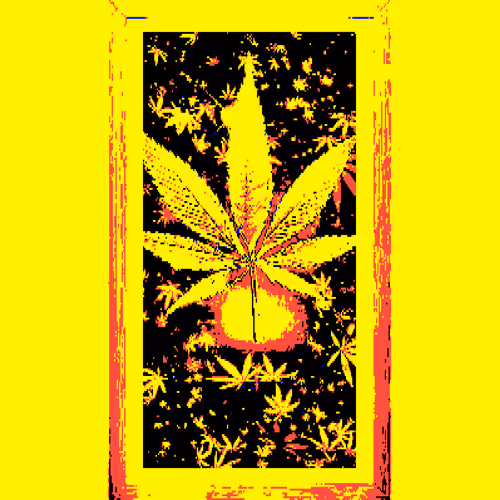 GANJA Rasta - old