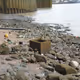 Garbage_Treasure
