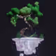 Garden Bonsai