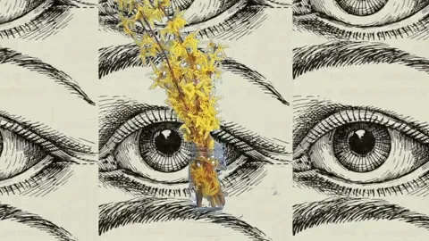 Garden Flora & Other Items