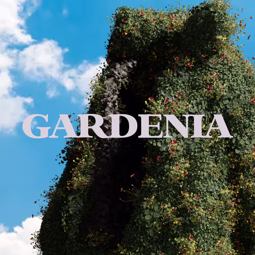 Gardenia Collection - old