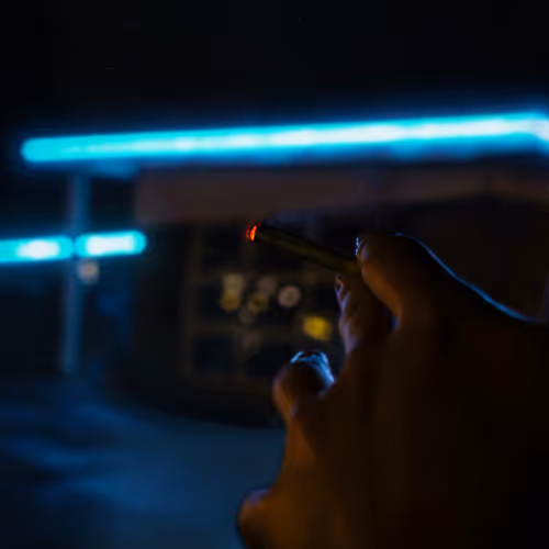 The Hand Collection (THC)