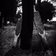 Gate to Eternal Life - old
